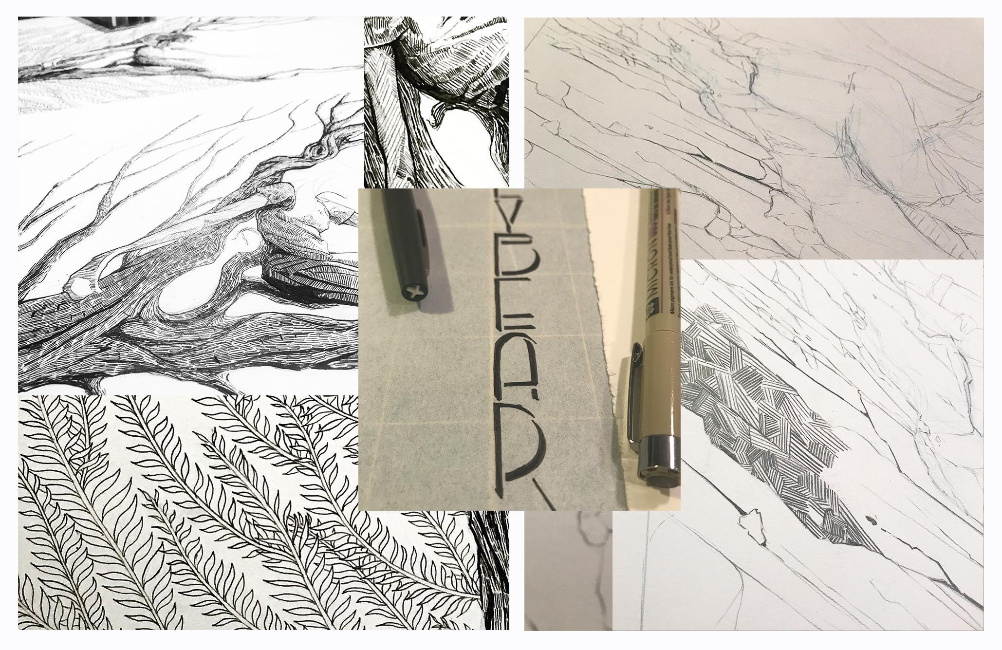 Blog2-DrawProcess.jpg