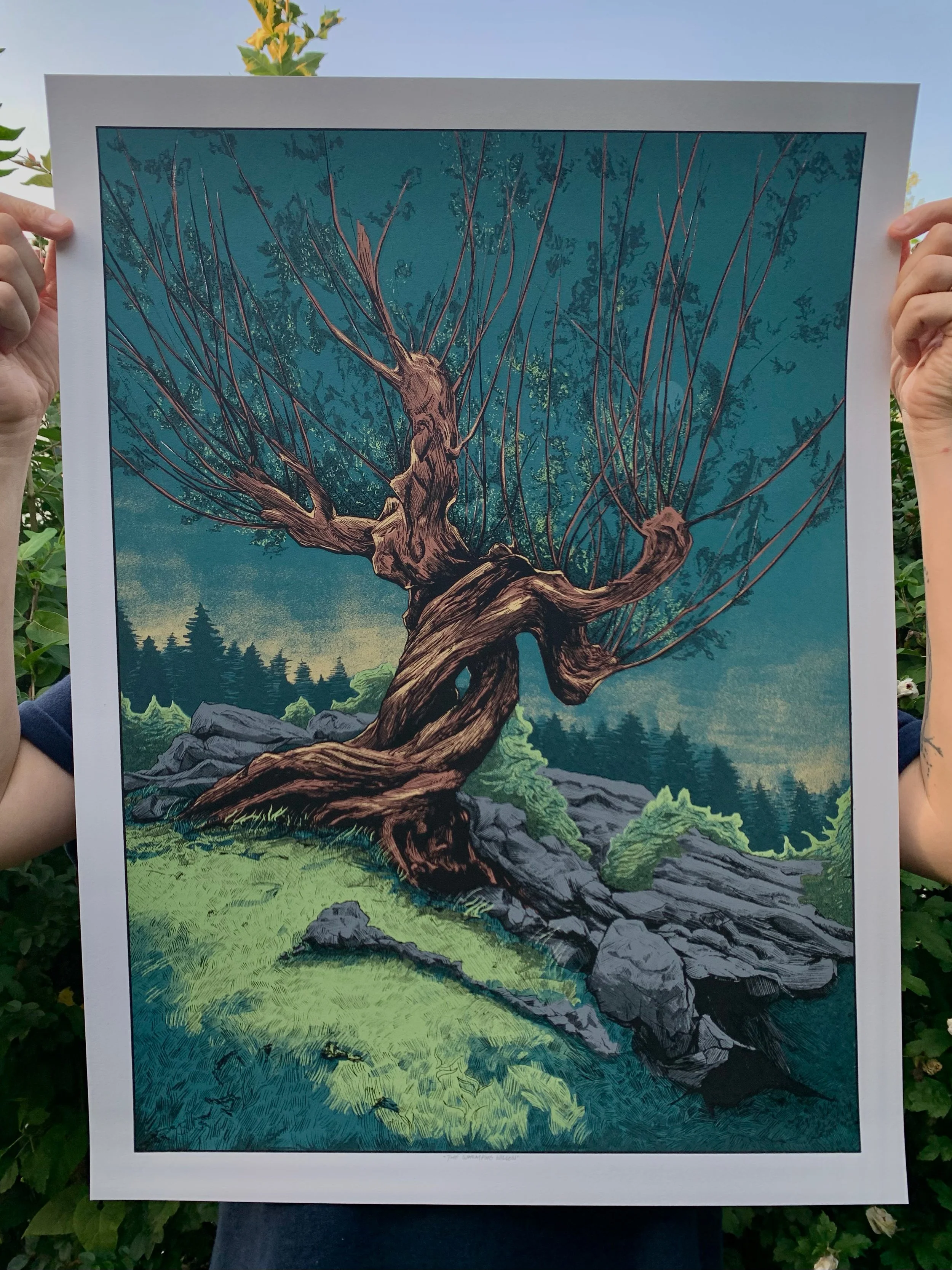 Whomping Willow- Print.jpg
