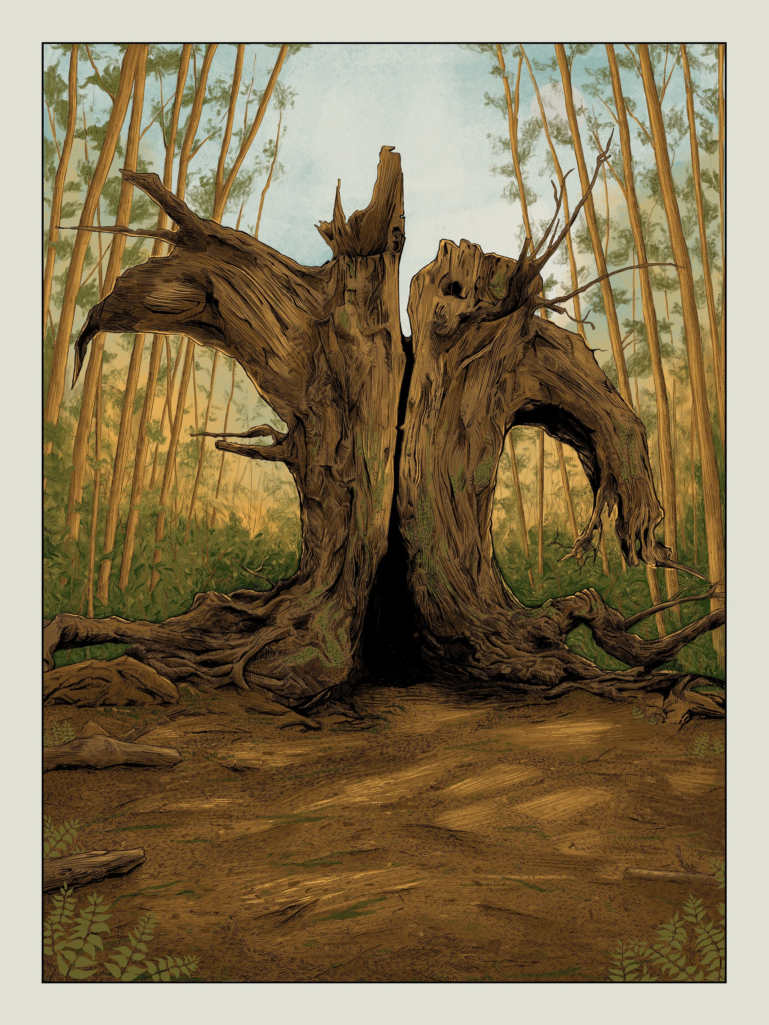 The Old Fig Tree.jpg