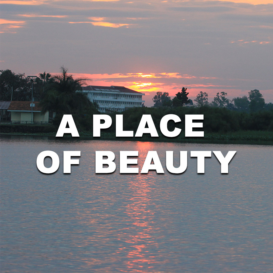 TTI - A PLACE OF BEAUTY SQUARE.jpg
