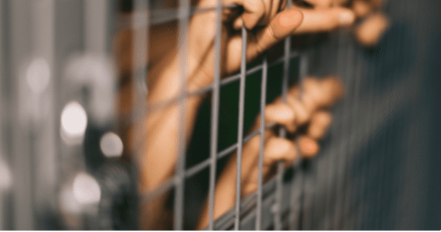 Youths with a parent in prison, juvenile justice history three times likely to get depression, PTSD than peers