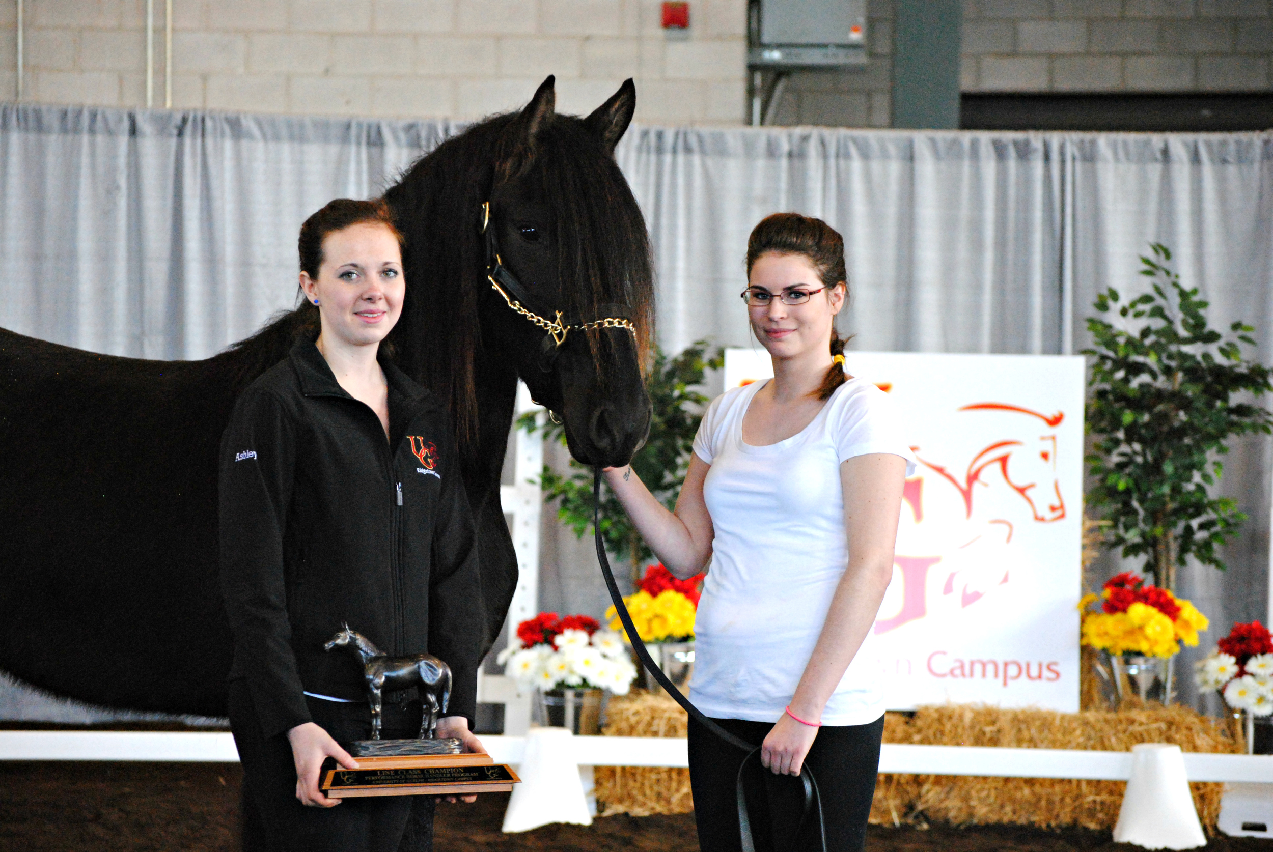 Year End Horse Show Winners