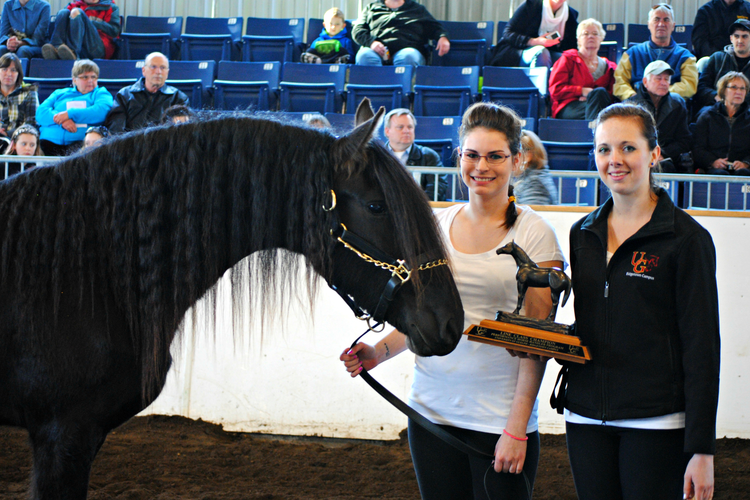 Year End Horse Show Winners