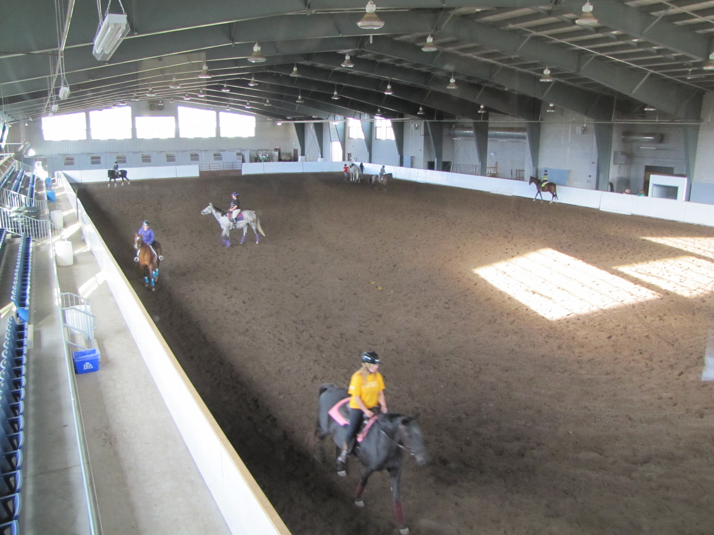 University of Guelph — REACH Huron