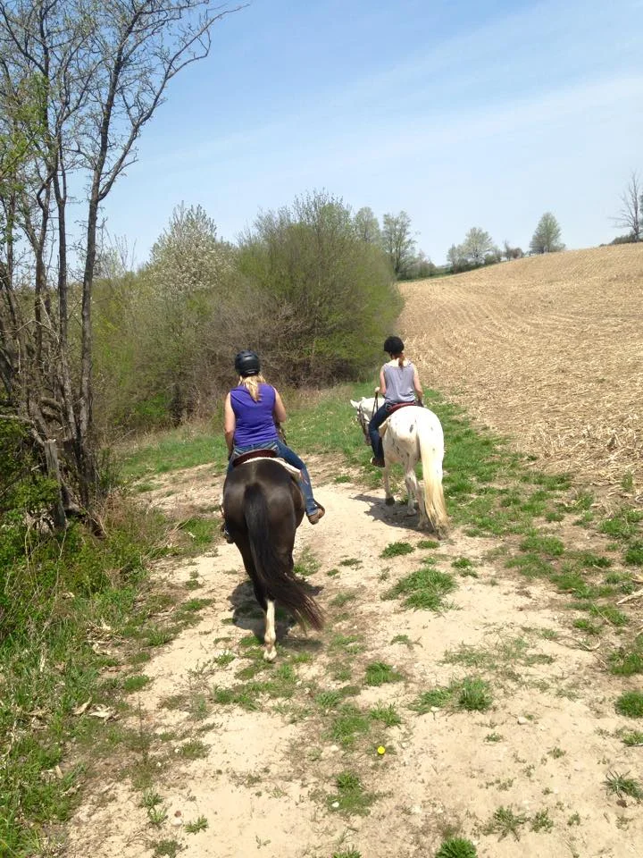 Trail Ride - walking.jpg