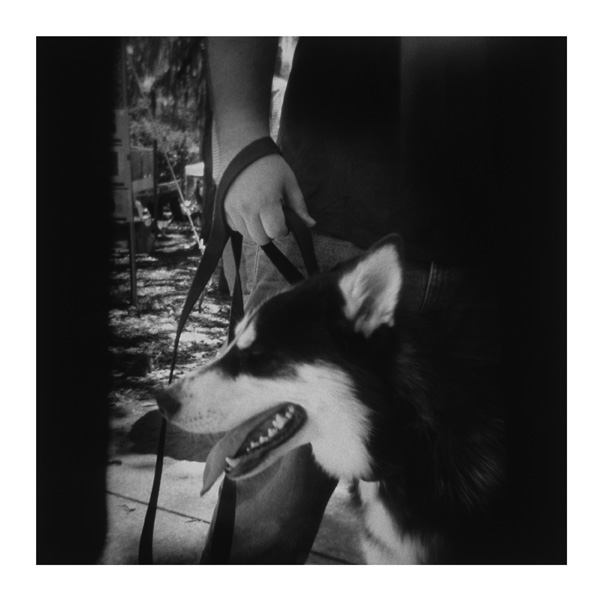 Porttrait of my friend's dog, Remy, photographed with the Holga in Forsythe park, Savannah. You can see where the batteries for the Holga's flash got in the way on the sides of the frame. After exposing this roll I used electrical tape to better secure the AA batteries into their place, so as to keep them out of future shots :)