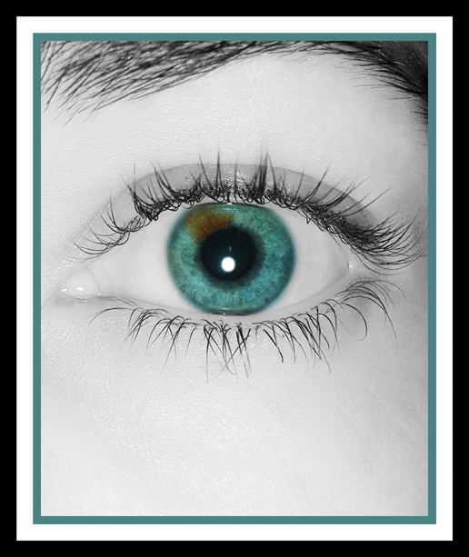 Terra. While living in Chicago I began a series of eye portraits of my friends. I shot all of them on a tiny point and shoot Nikon that happened to have excellent macro capabilities. I selected the iris and pupil in photoshop, slightly enhanced their contrast, and made the rest of the image black and white. What you see is the actual eye color, I did not manipulate that at all. 