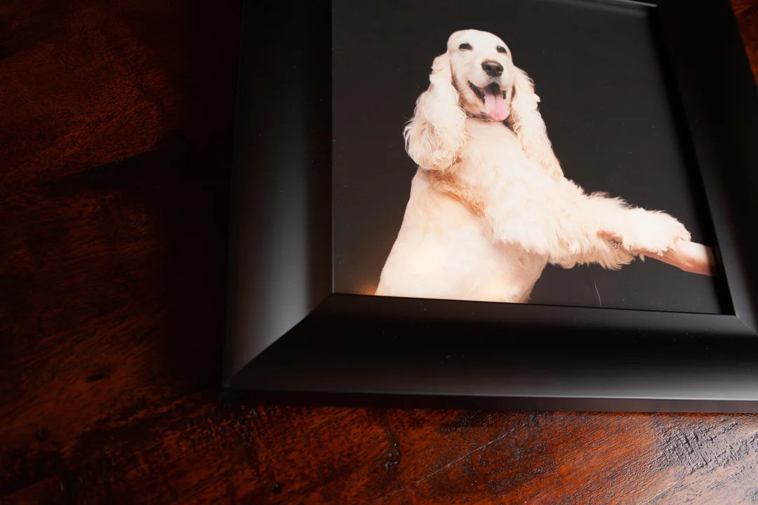 frame-0694.jpg