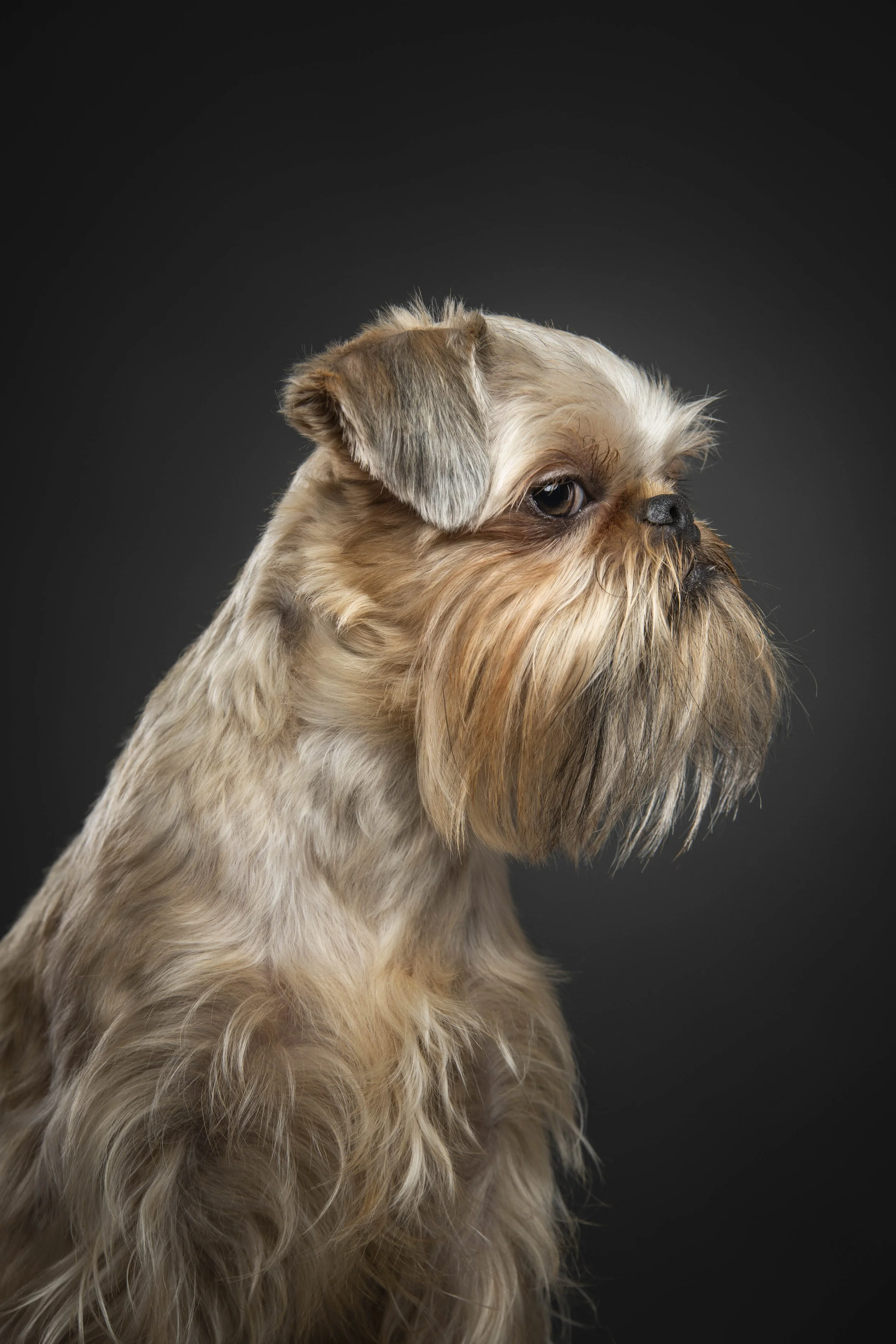 Arlo10998.jpg