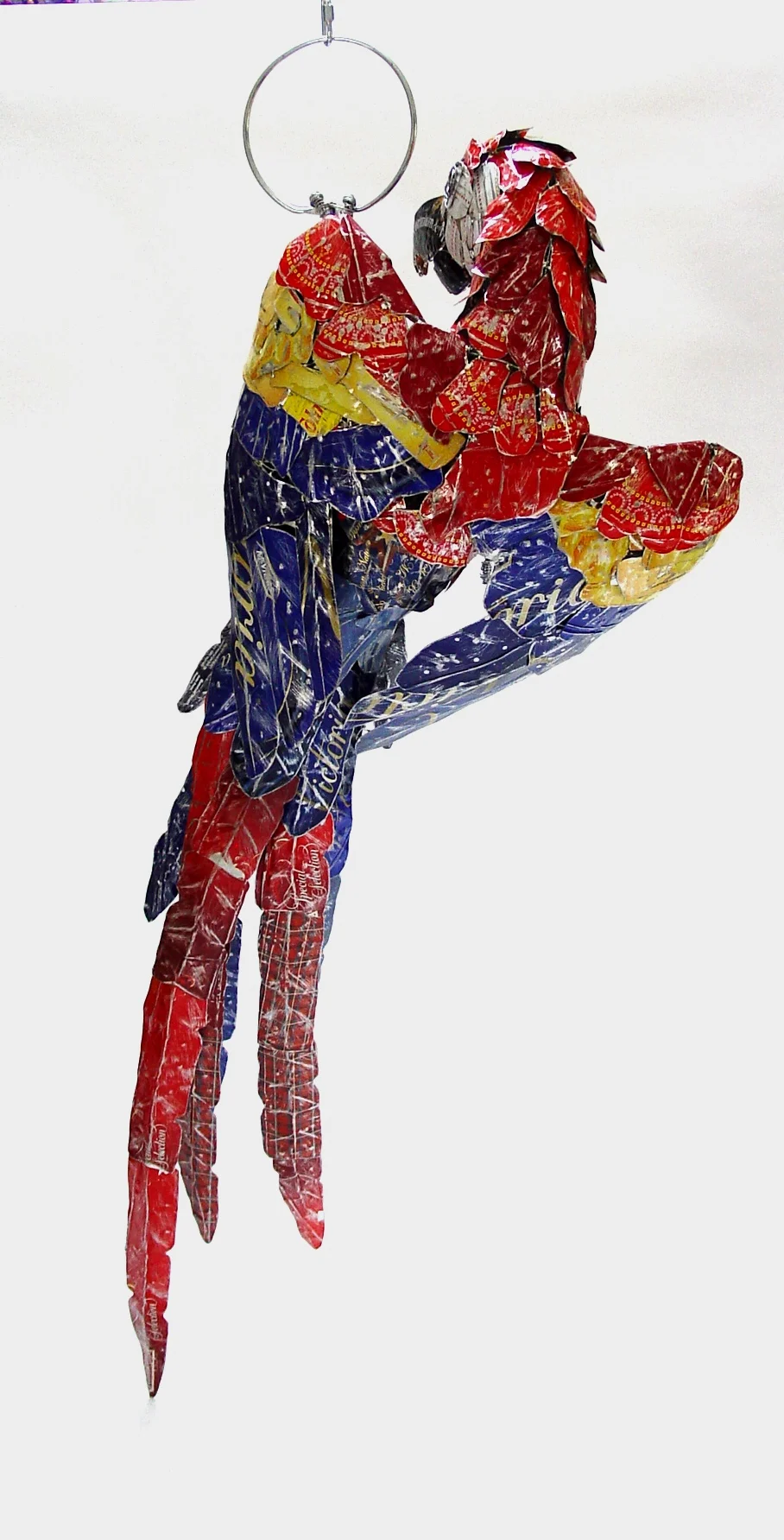 Scarlet / Yellow Macaw II