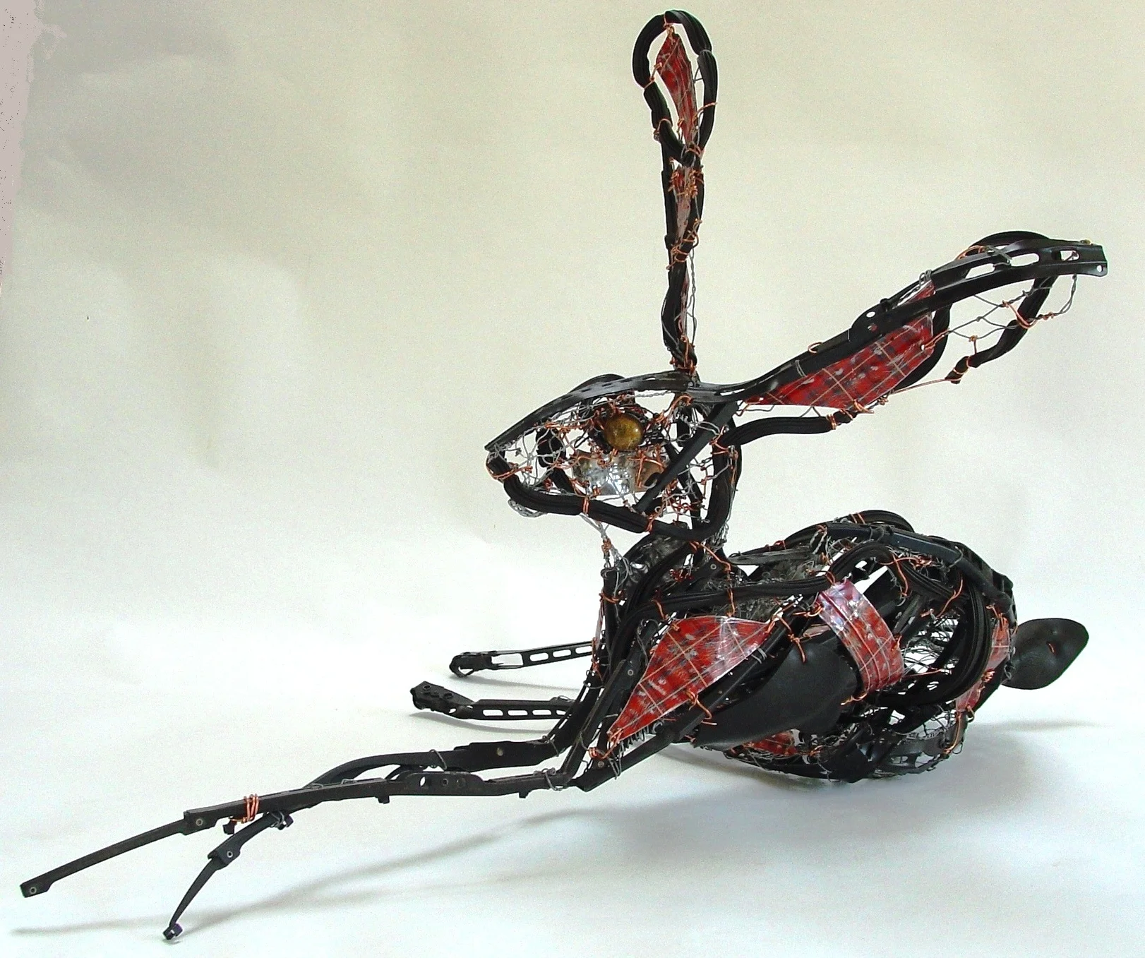Hare  scotland AAF.JPG