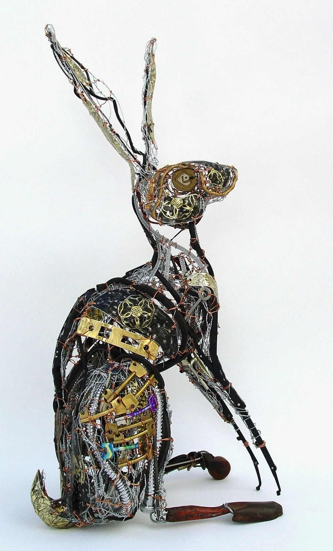 Scottish Hare 2011