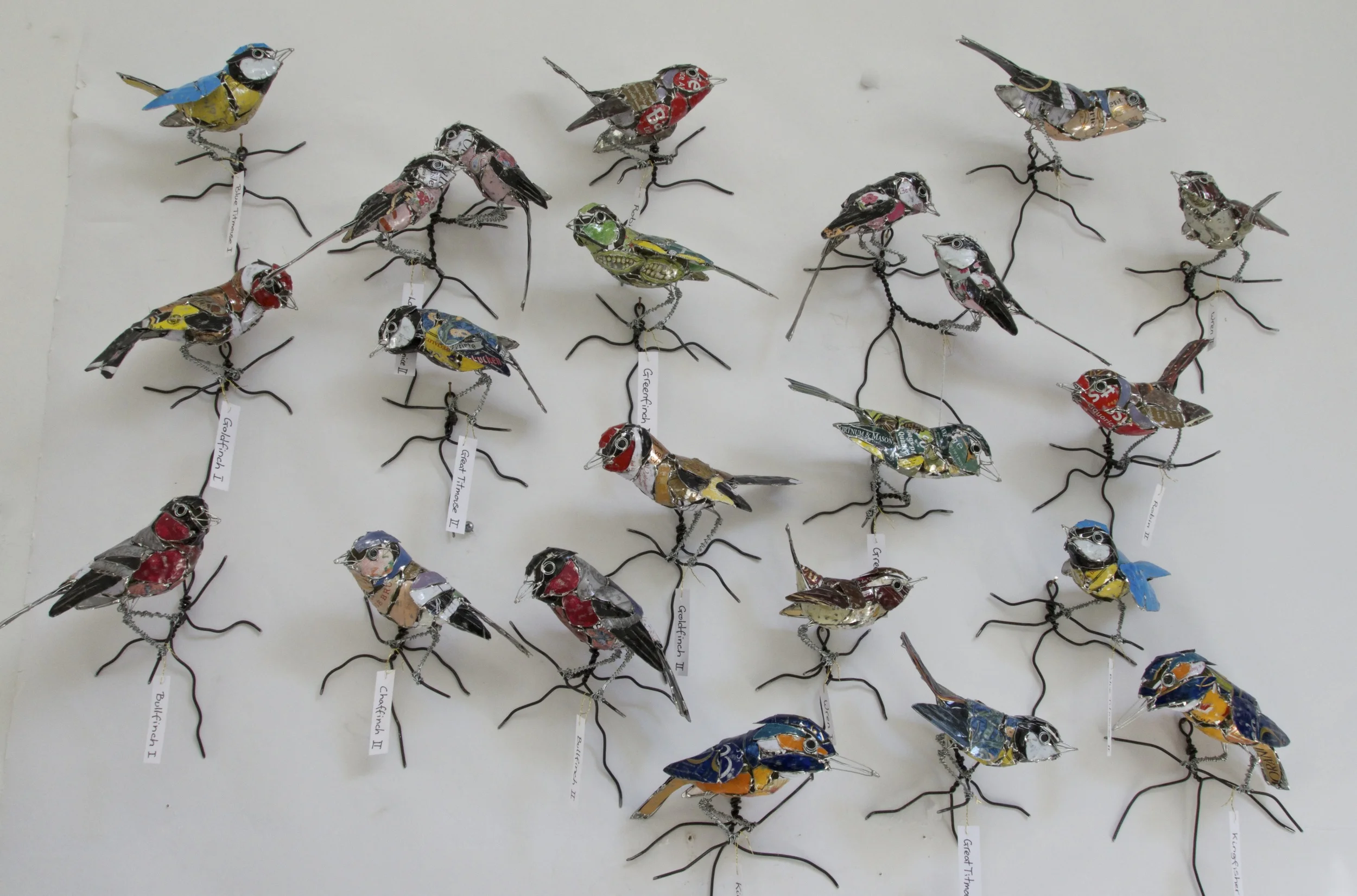 10 species of british birds