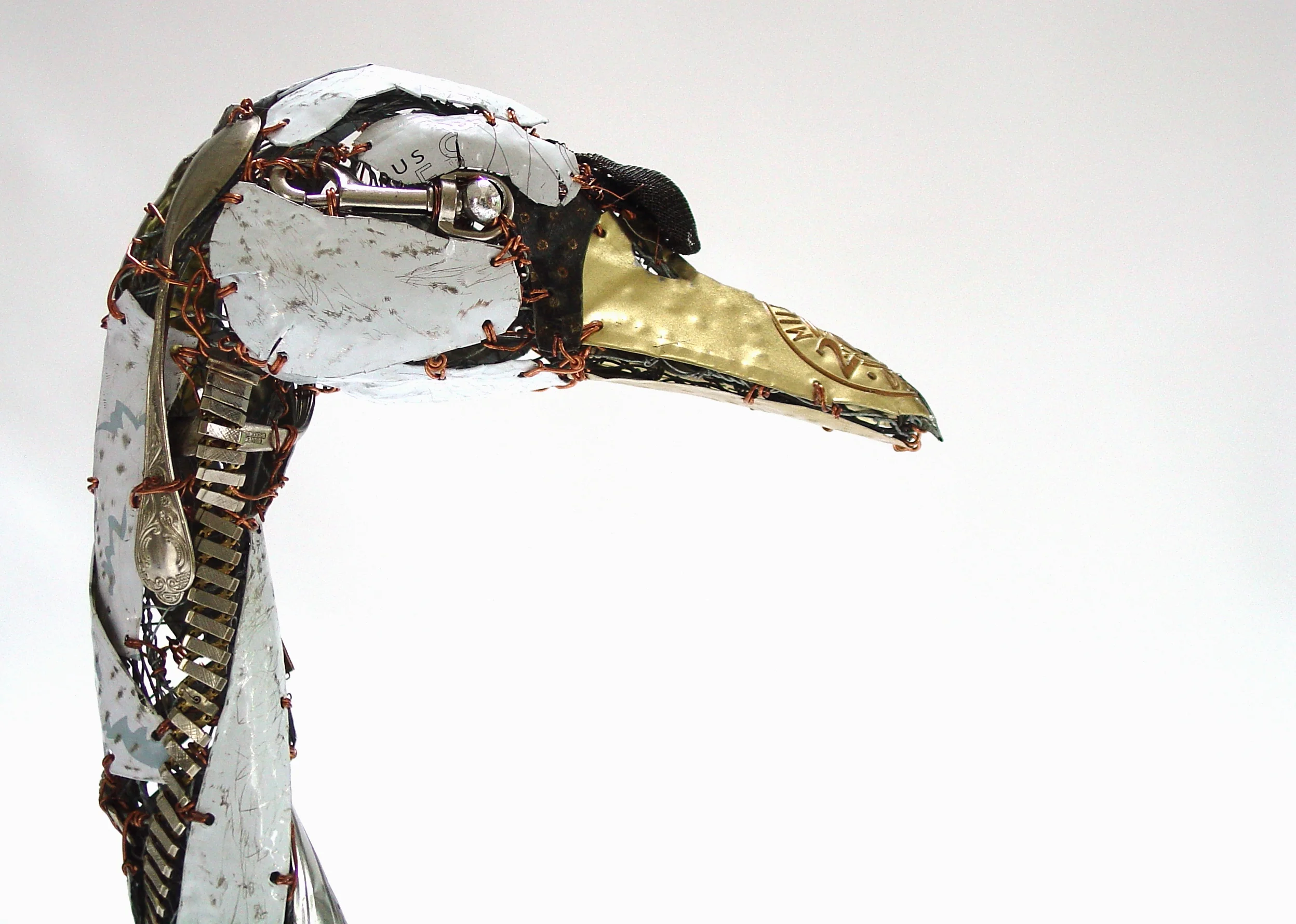 White swan  right profile.JPG