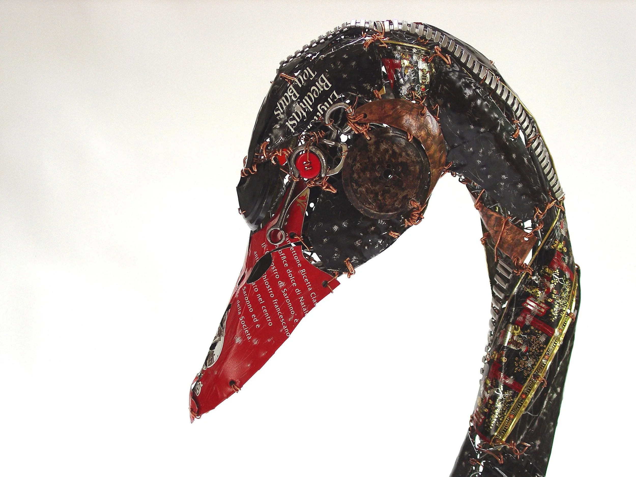Black swan  left profile.JPG