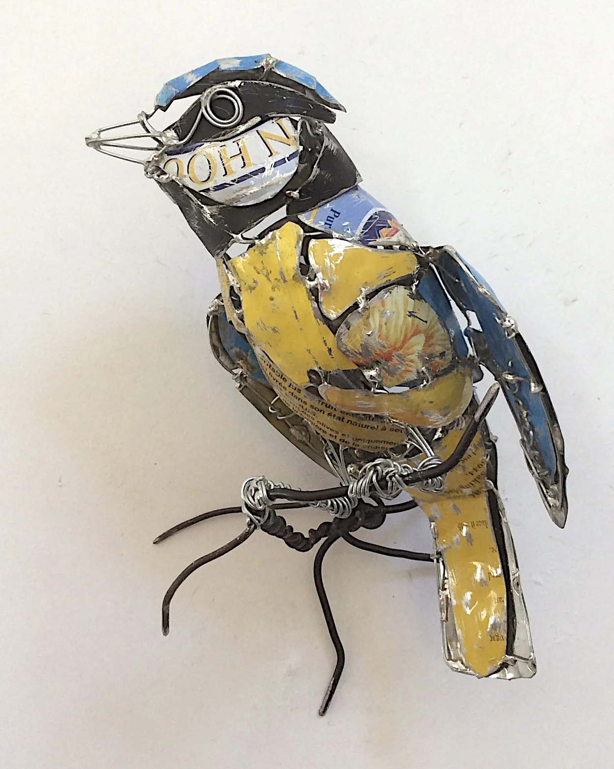 Blue Titmouse.jpg