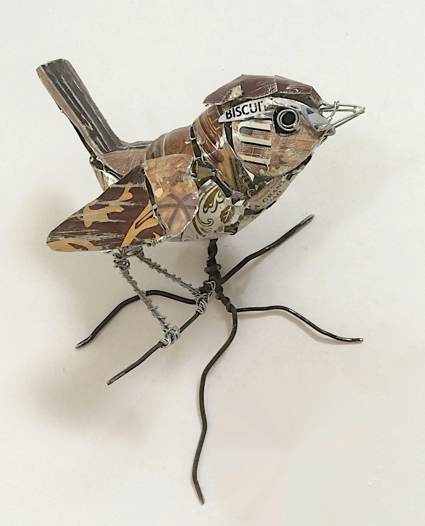 Wren I.jpg