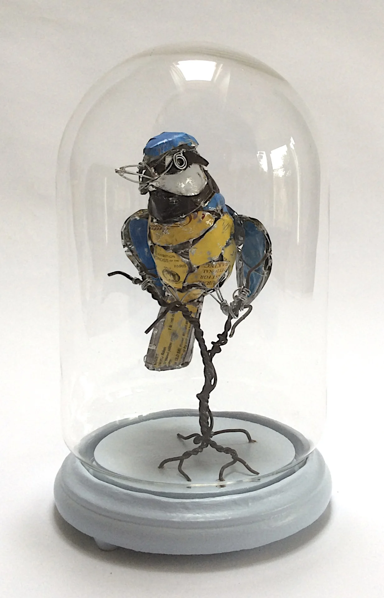Blue Tit in glass jar.jpg