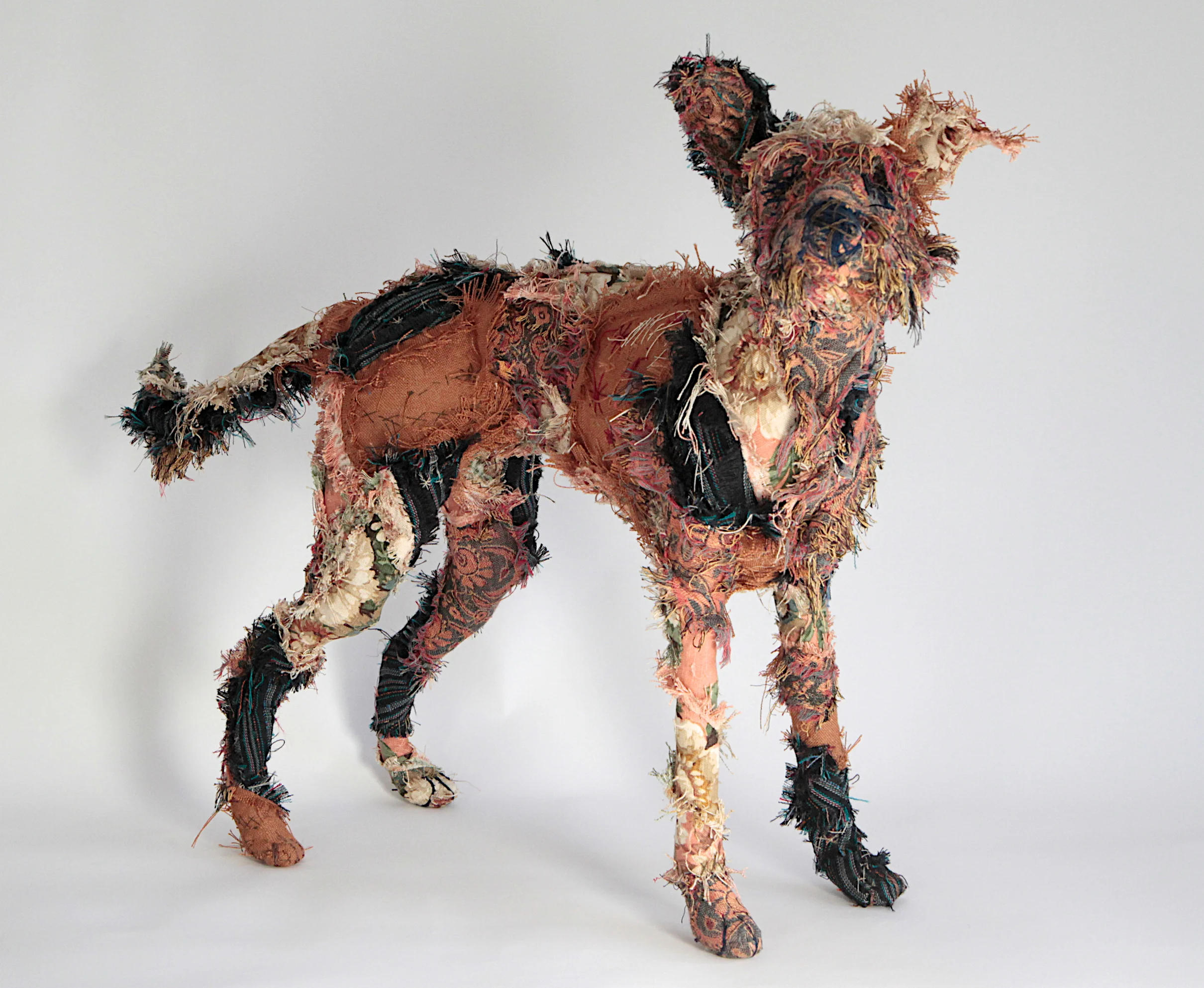 The Haberdasher's Dog