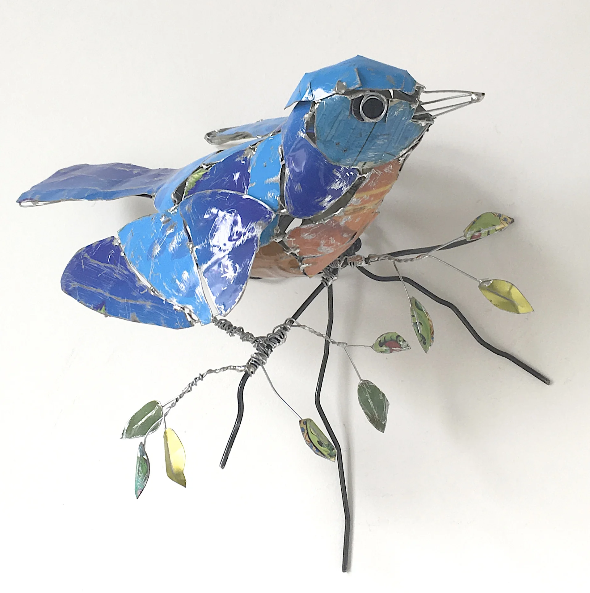 American Bluebird.jpg