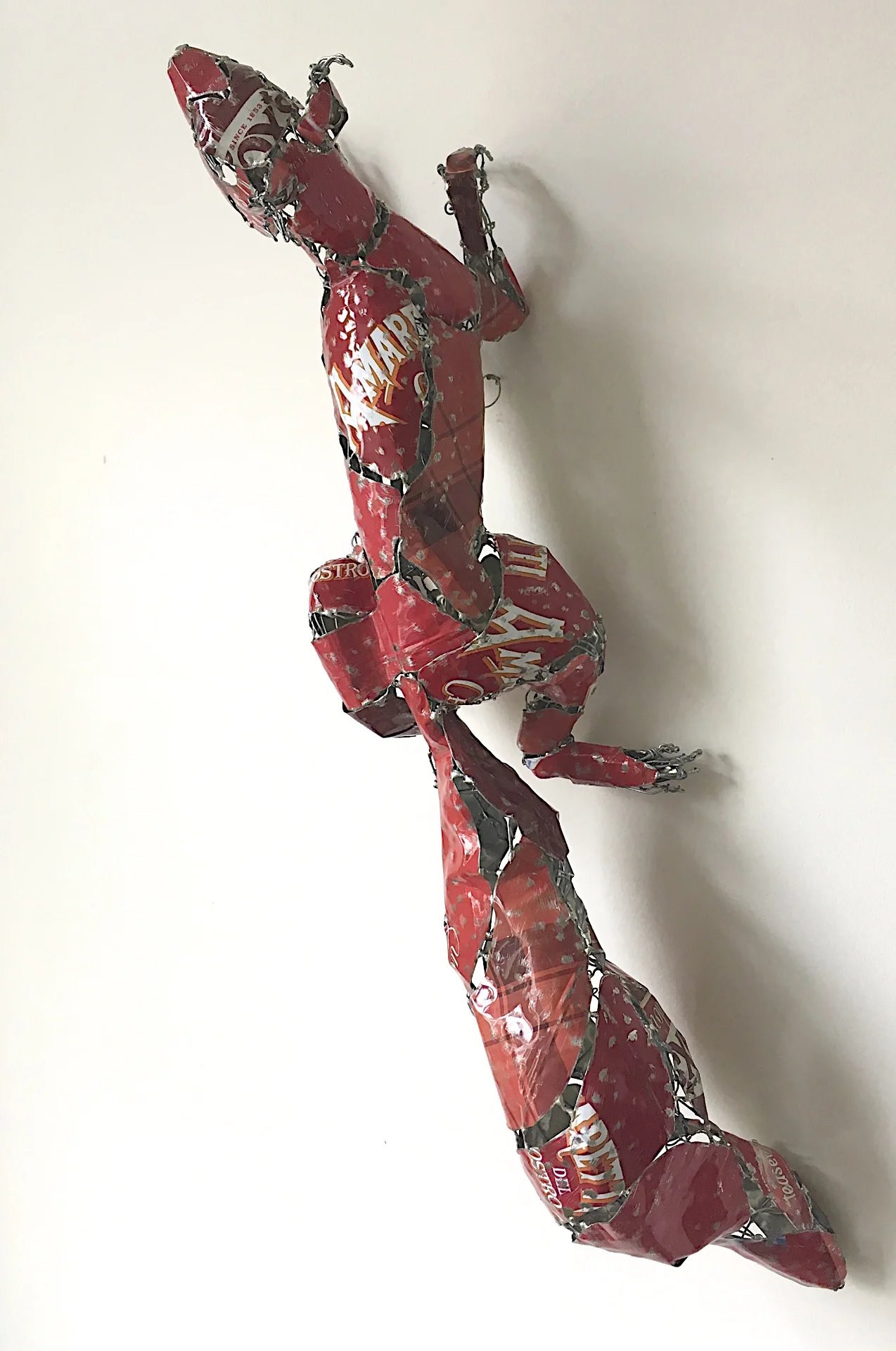 Red Squirrel hanging.jpg