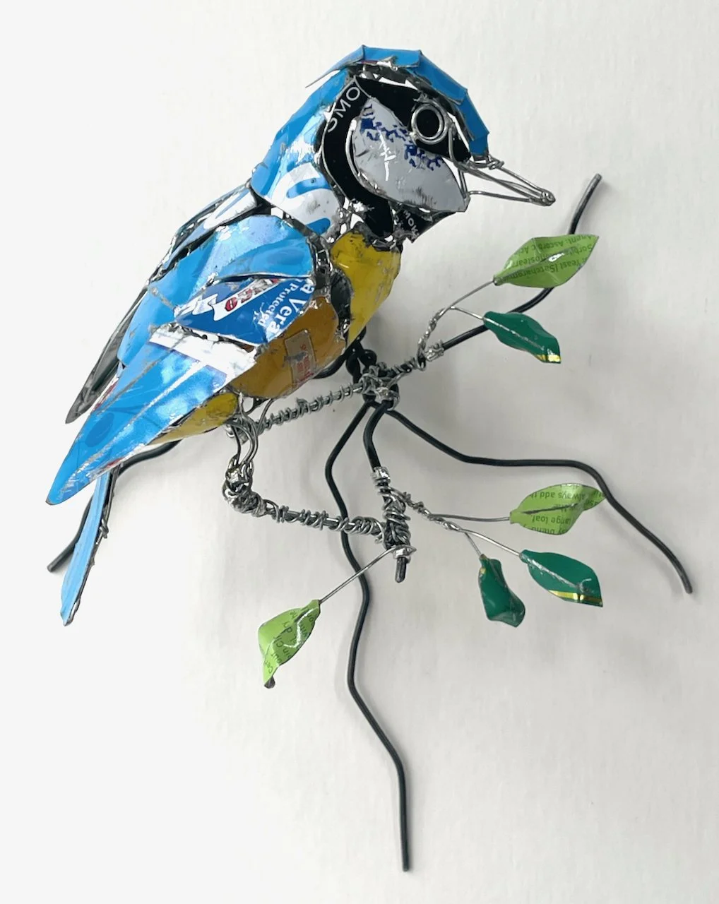 Blue Tit
