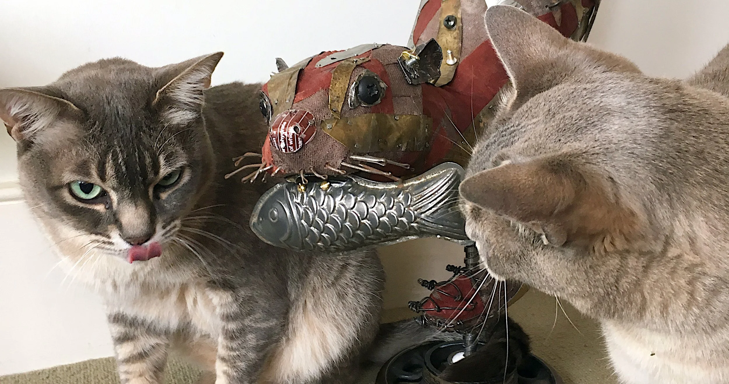 Told you it fooled my cats!