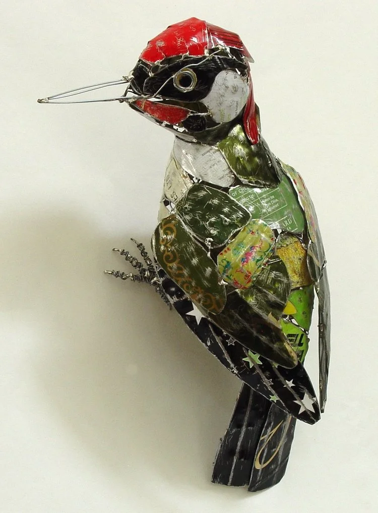 Green Woodpecker