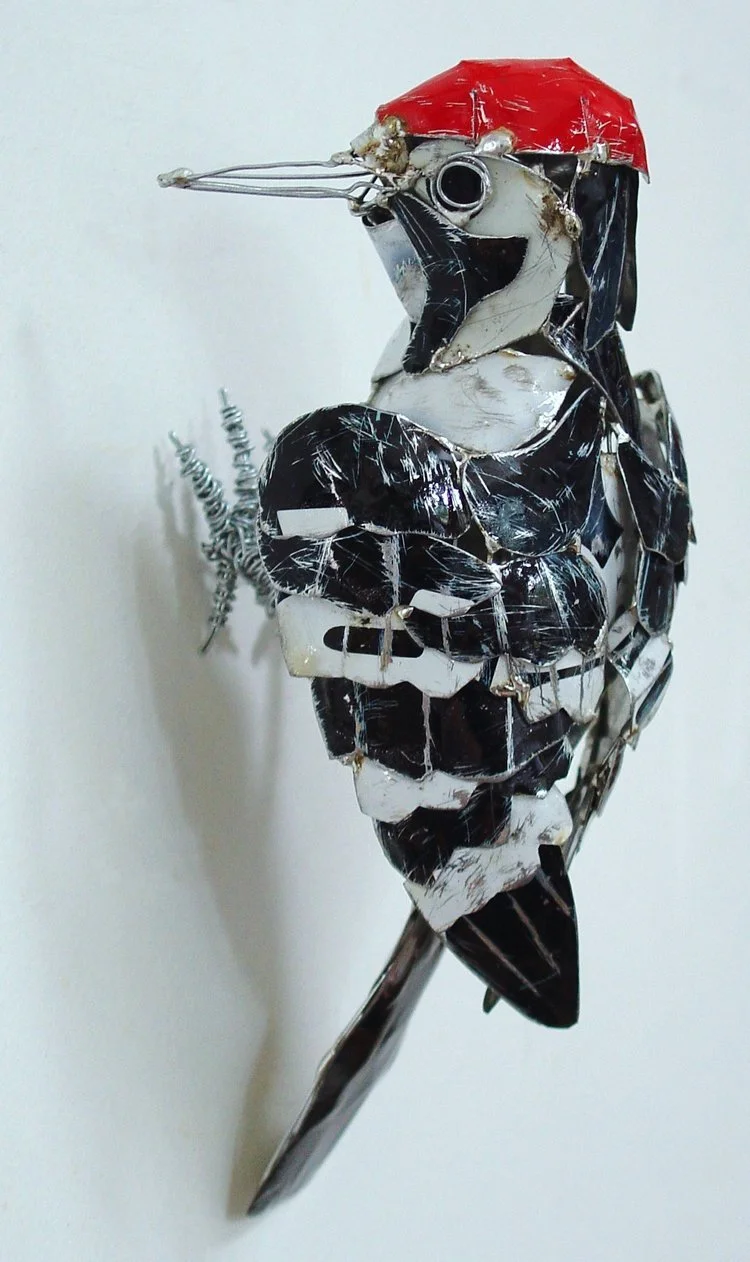 Lesser Spotted Woodpecker