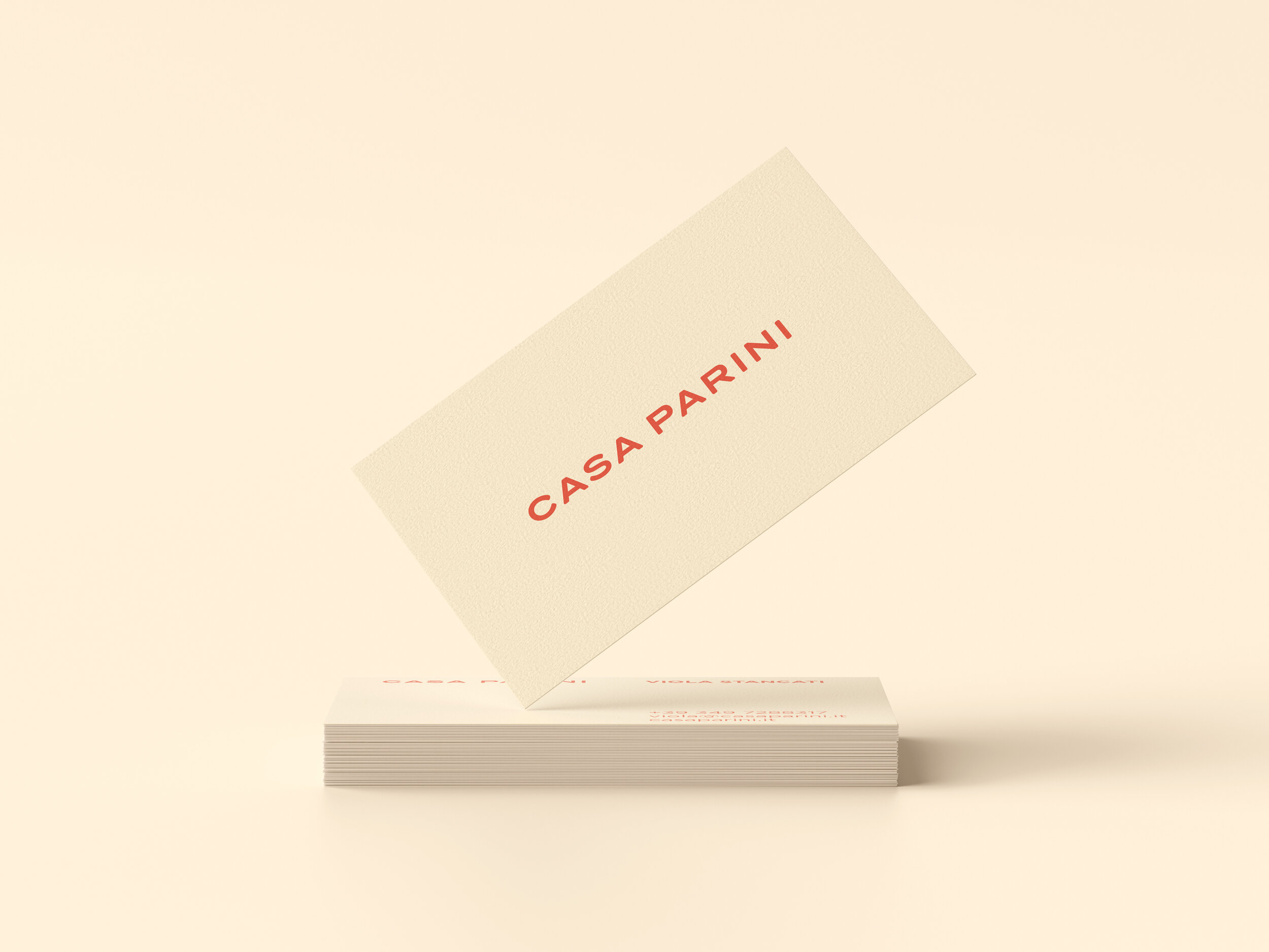 v2_BV 7 CASAPARINI BRANDBOOK MOCKUP.jpg