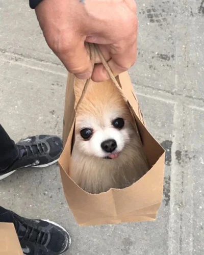 a special delivery