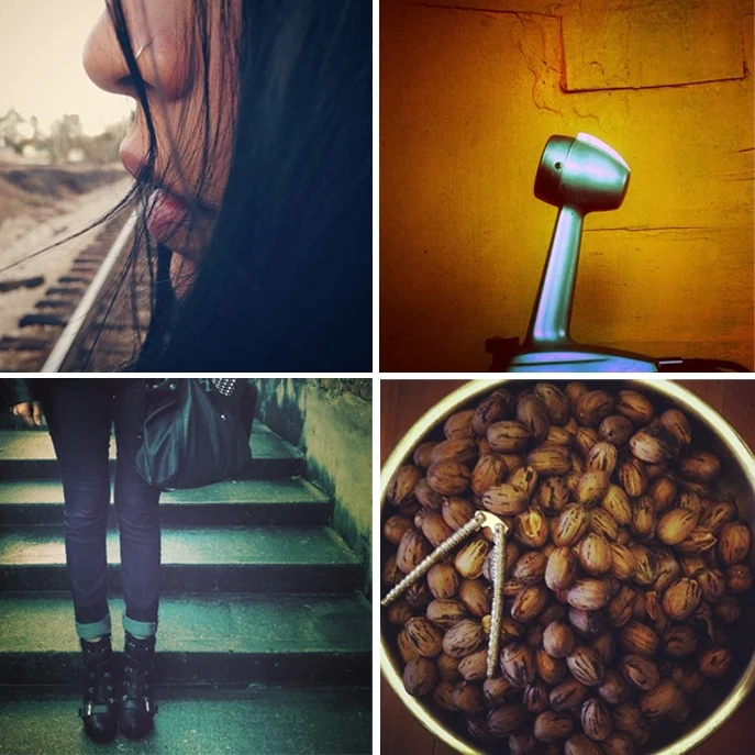 Snap Shots