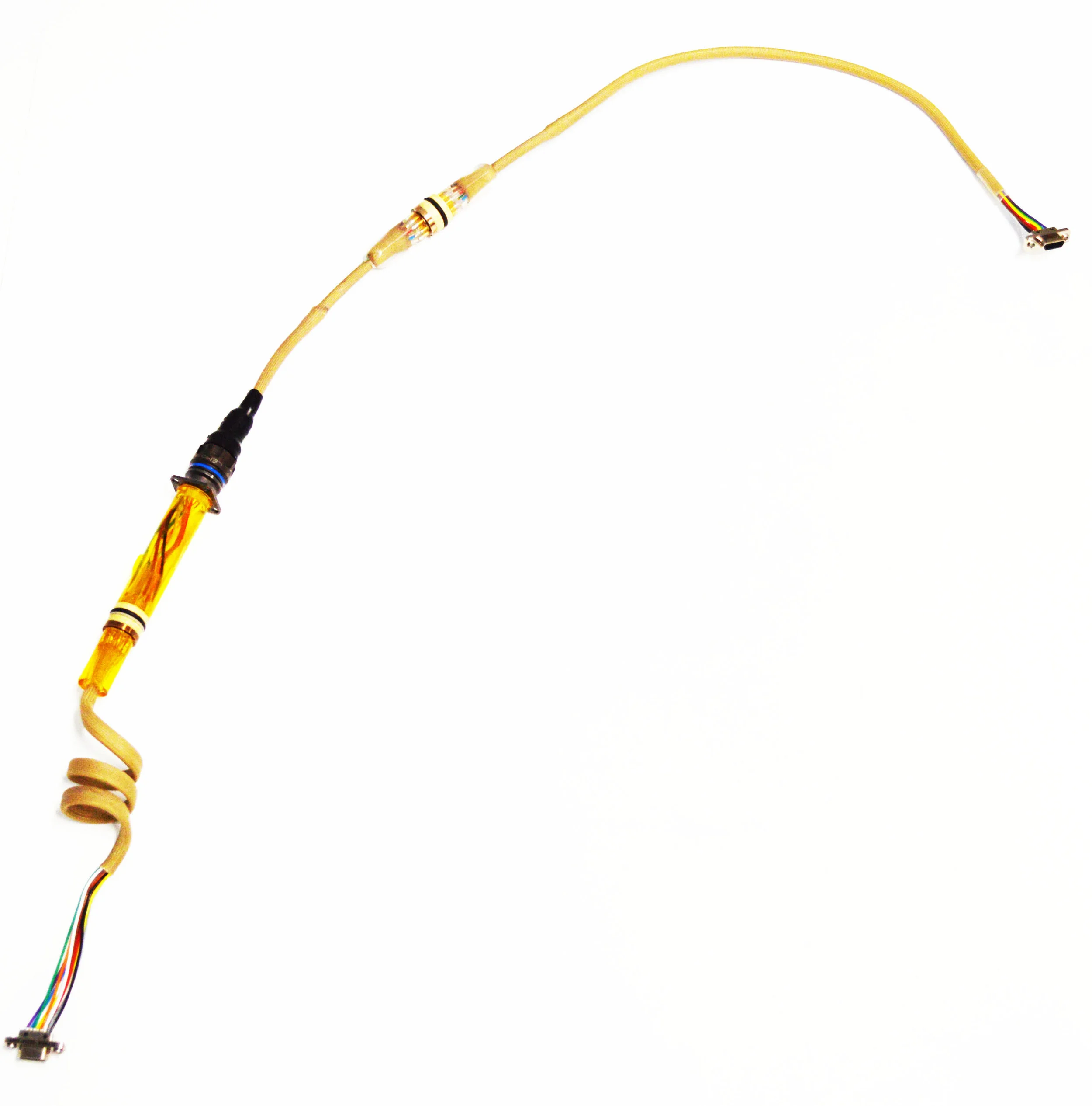 Yellow Pigtail.jpg