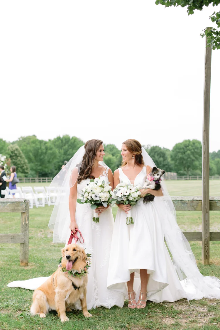 Nyc Wedding Photographer Based In Astoria Queens City Love Photography