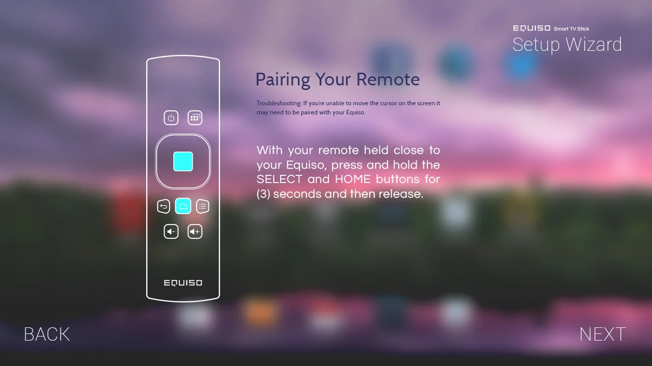 Setup Wizard: Pairing