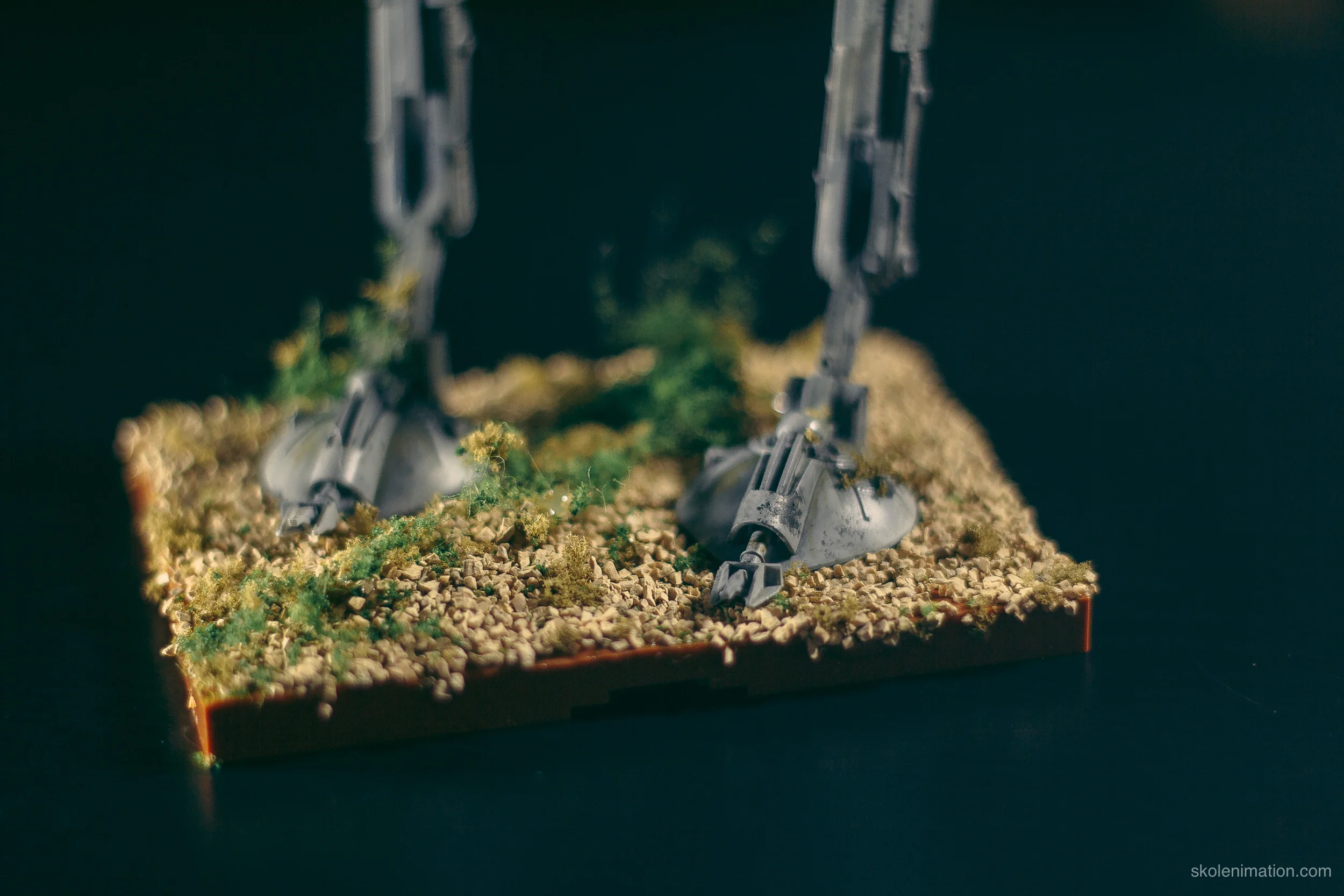 Models5.jpg