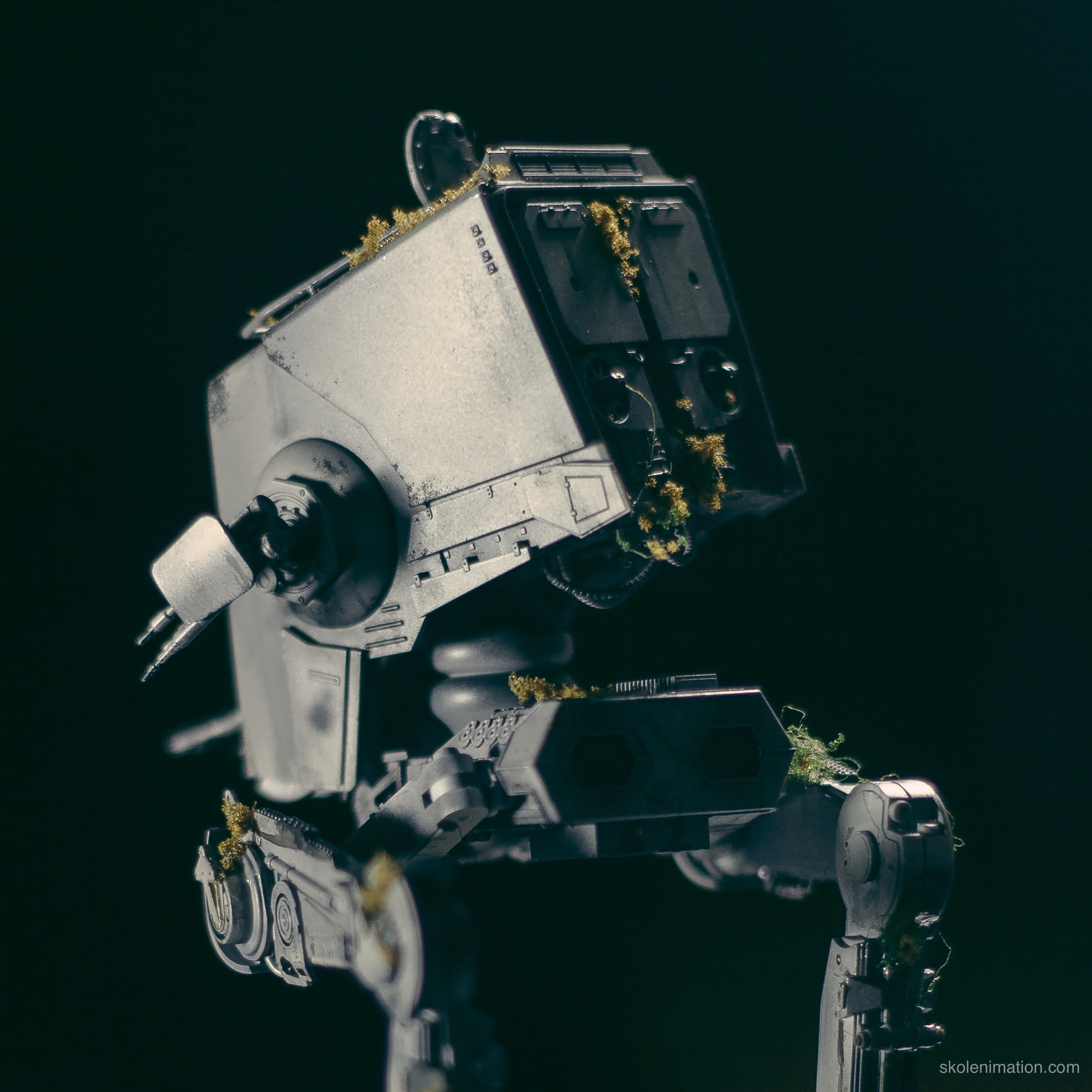 Models7.jpg