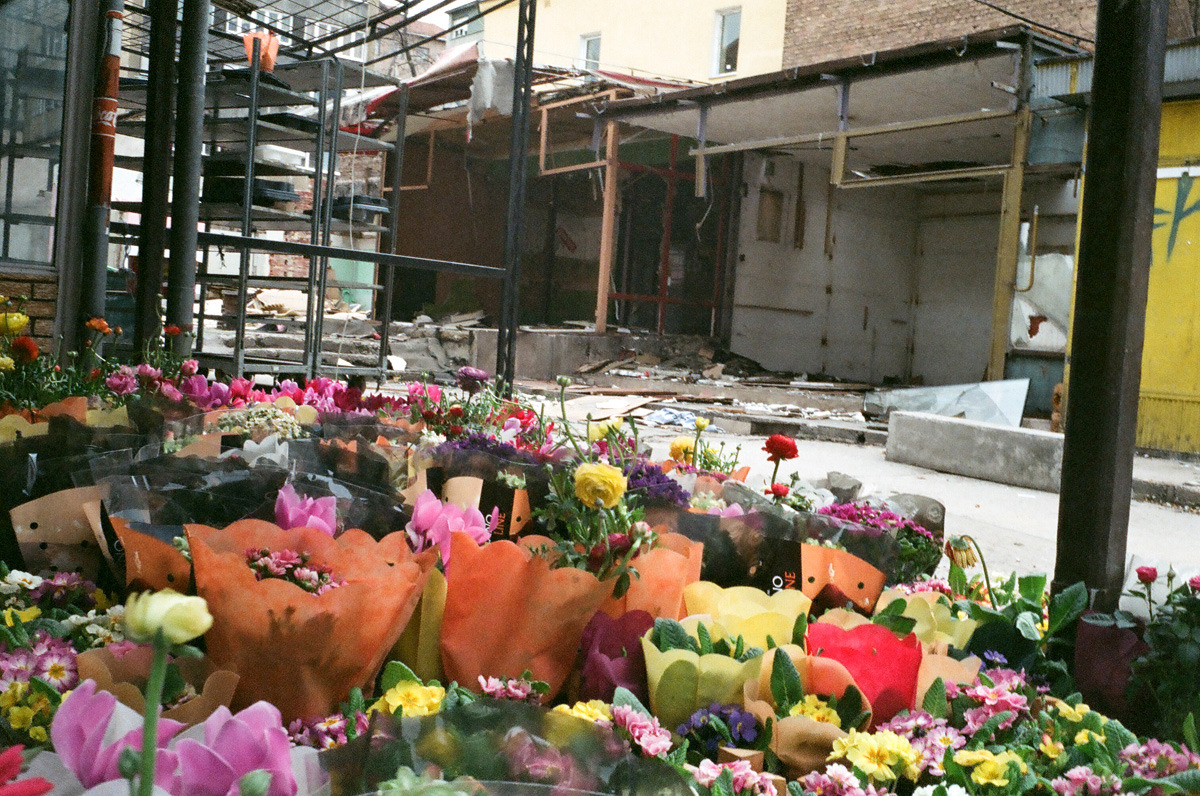 flowers.jpg