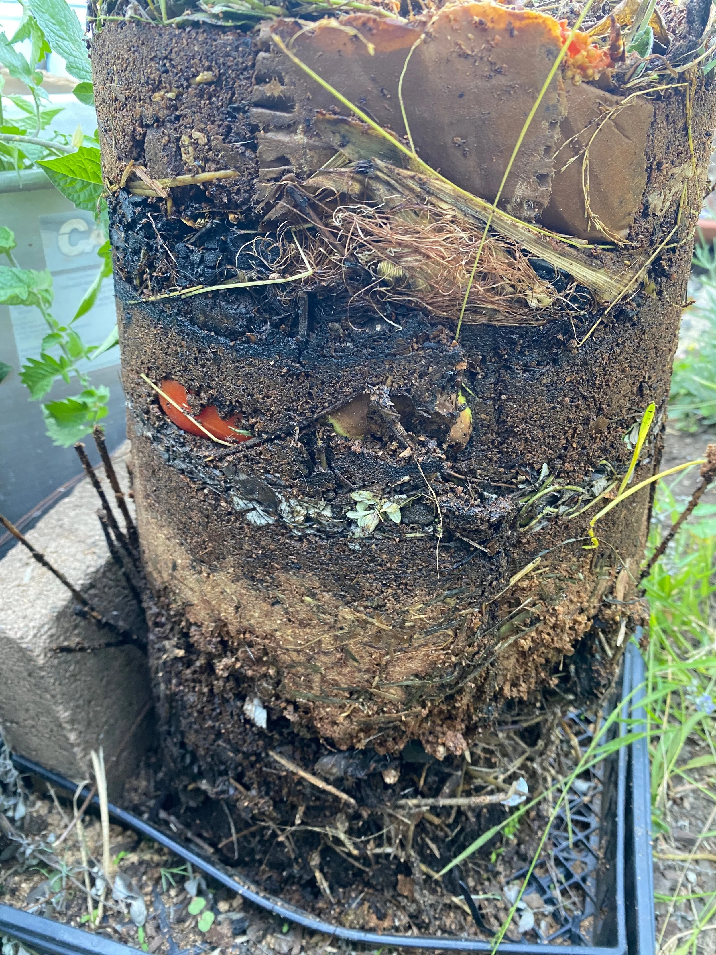 Compost Spire II (WIP) 