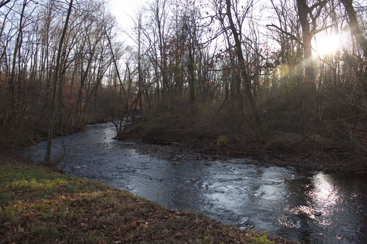 Late afternoon at the creek