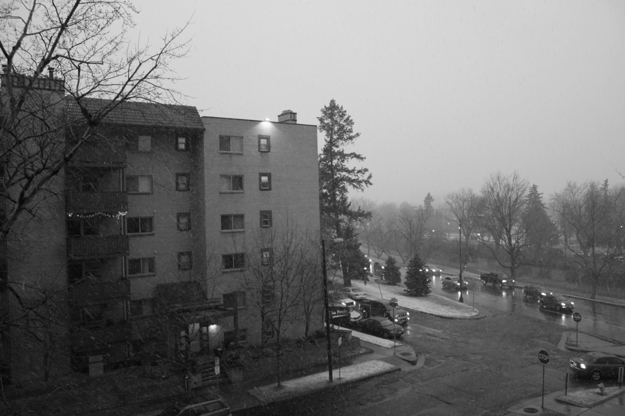 IMG_7024.png