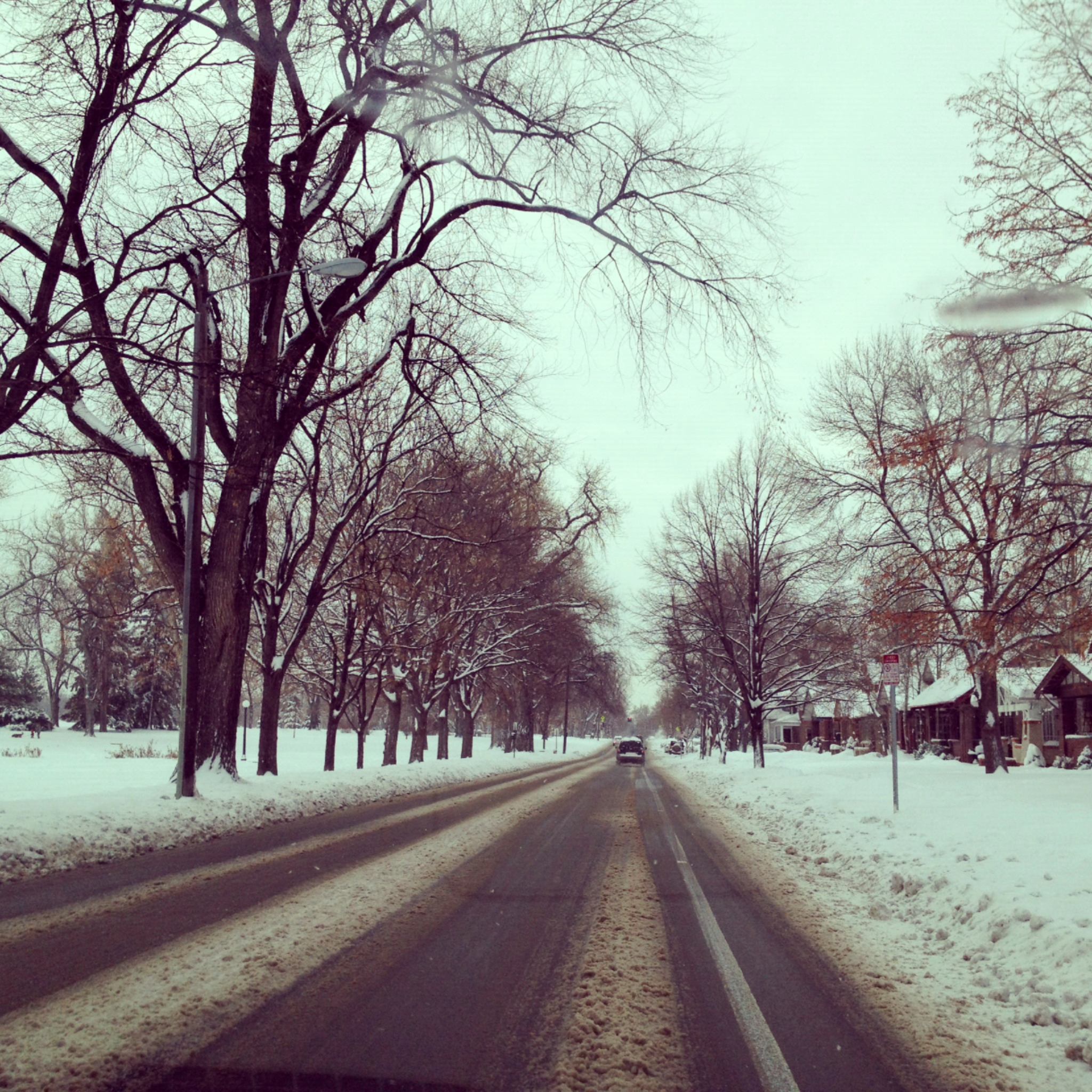 Snow.png