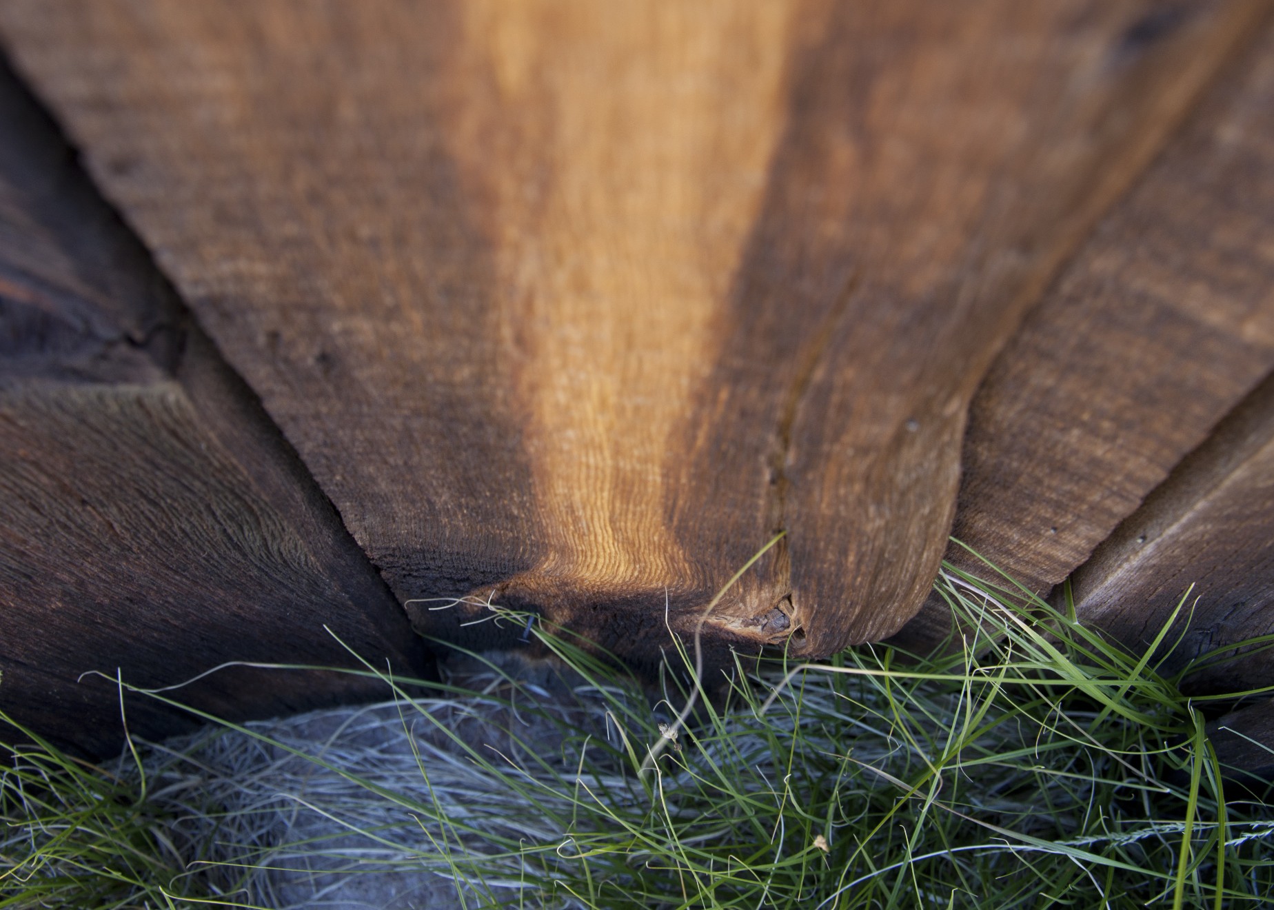 C1_DSC0187 Edit.jpg
