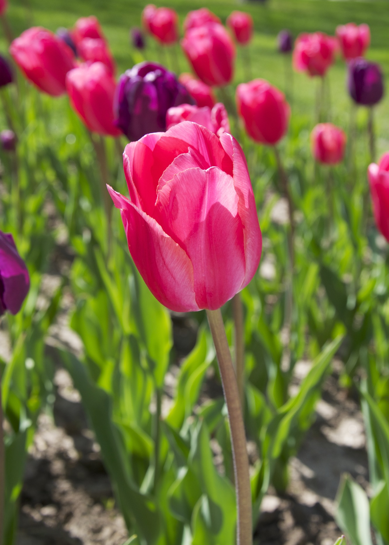 _DSC2287 - Version 2.jpg