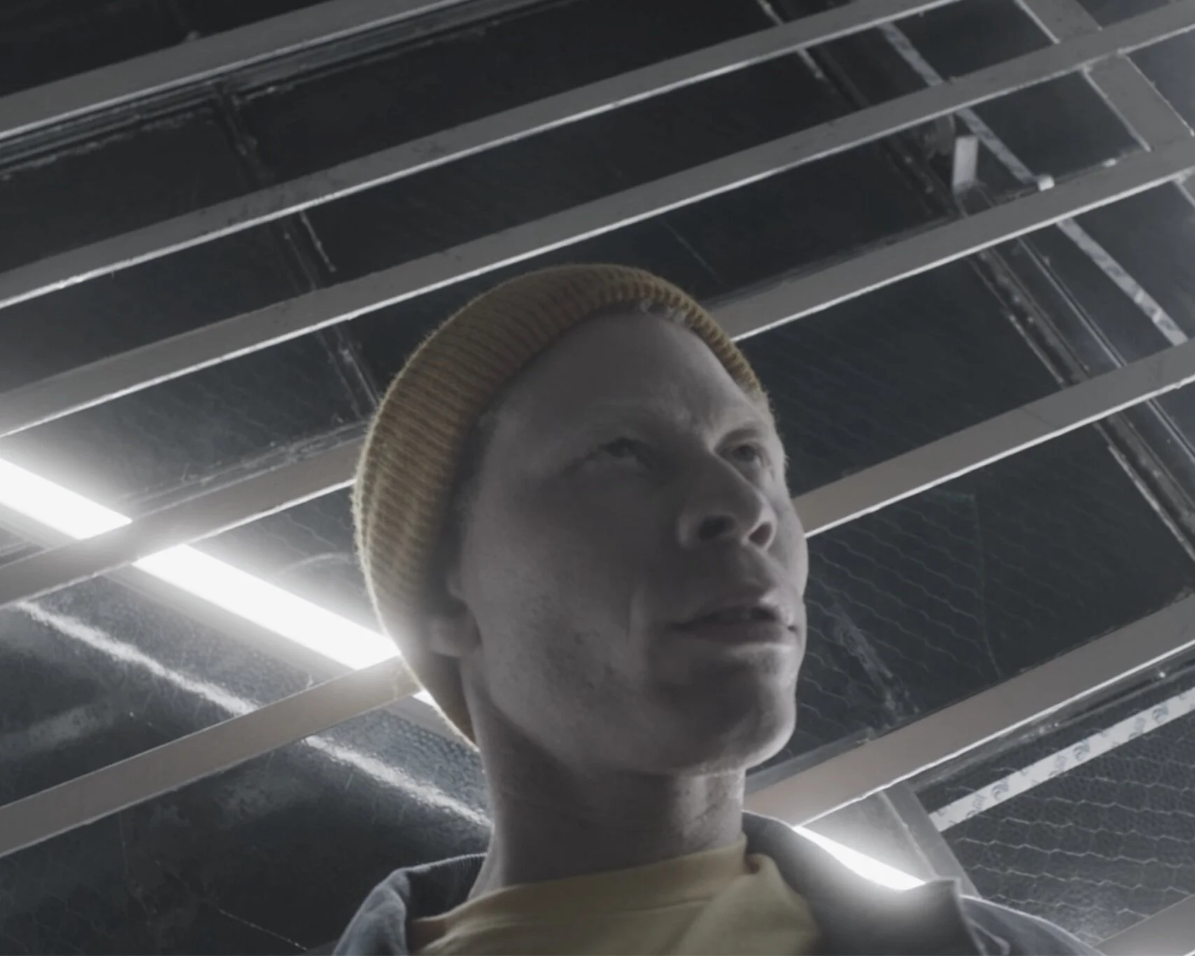 STRIVER'S ROW - SURVIVE IN AMERICA