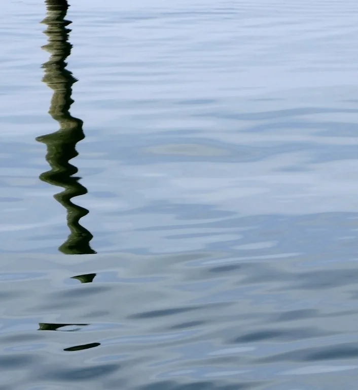Waterstick I