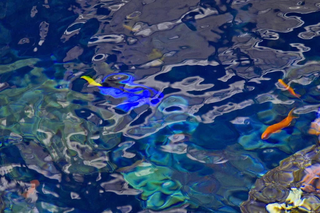 Aquarium
