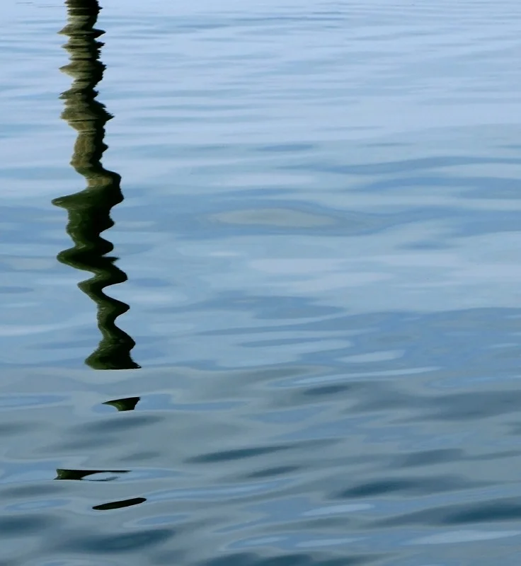 Waterstick I