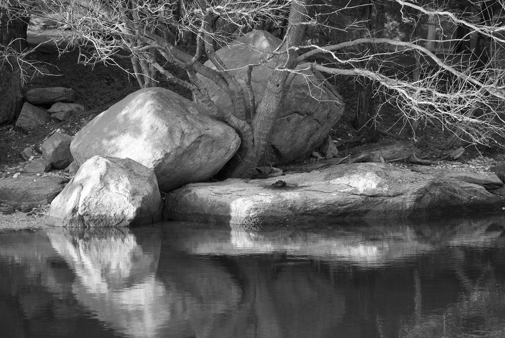 Stillness
