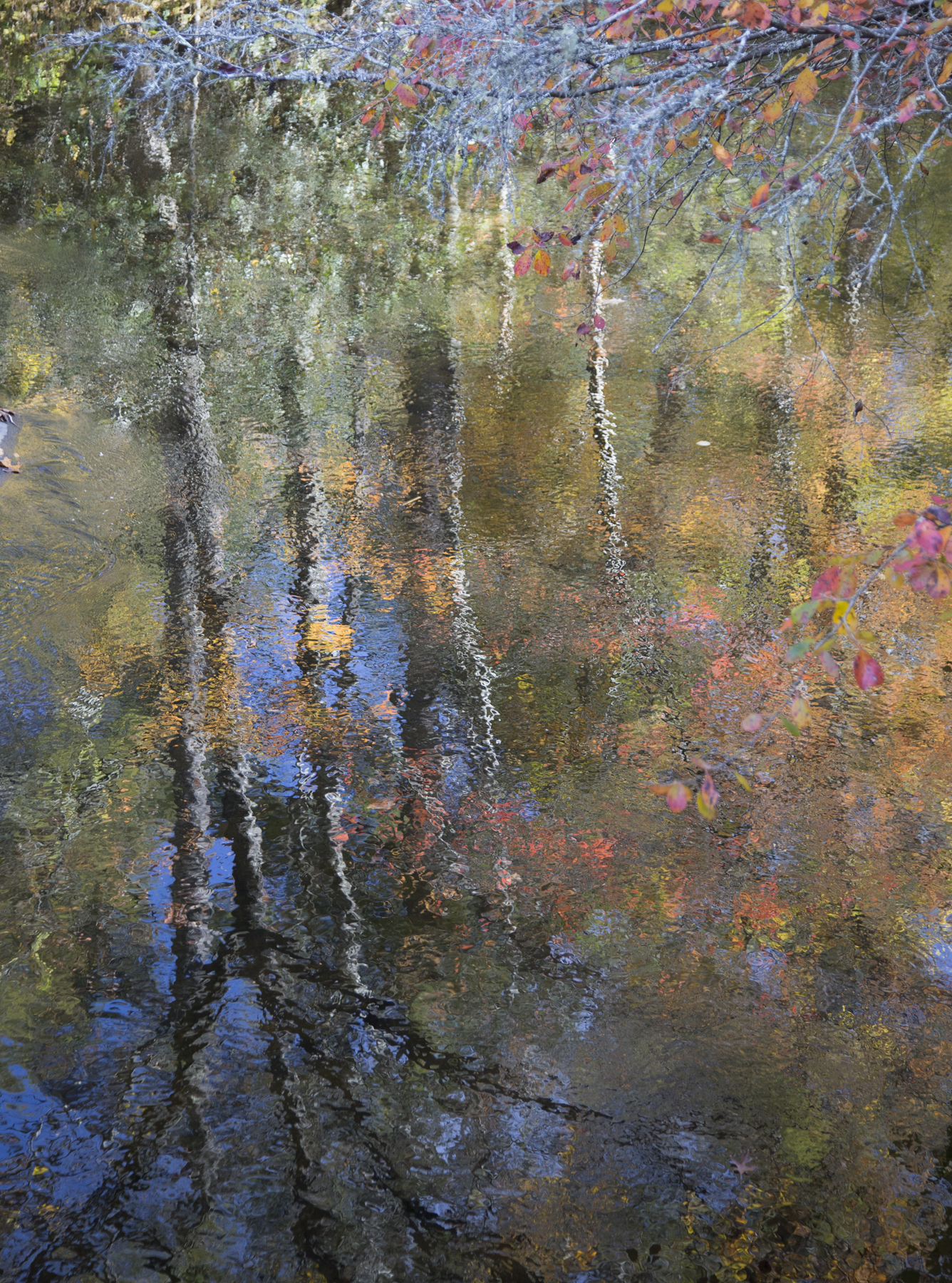 Diptych One
